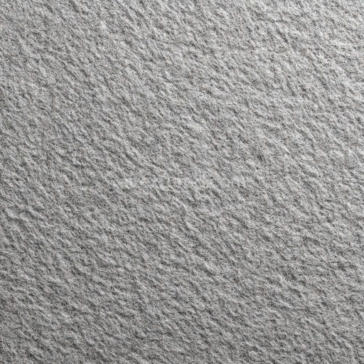 Seamless 3D Felt PBR Texture Featuring Dense Soft Gray Fibers with Subtle Textile Grain