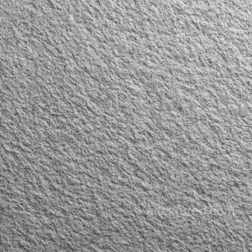 Felt PBR Texture Featuring Dense Soft Gray Fibers with Subtle Textile Grain seamless Felt PBR texture