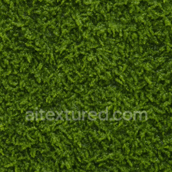 seamless High Resolution Wet Moss Texture Seamless 1024X1024 texture 1024x1024 free download PBR
