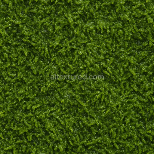 High Resolution Wet Moss Texture Seamless 1024X1024