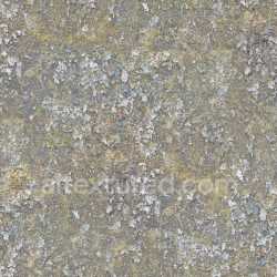seamless Ground Earth Natural Organic Soil Rough Textured Dry Grassy Leafy texture 8k free download PBR