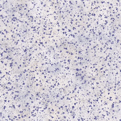 Terrazzo Seamless Pbr Texture Tileable Concrete Decorative Modern Colorful Gritty