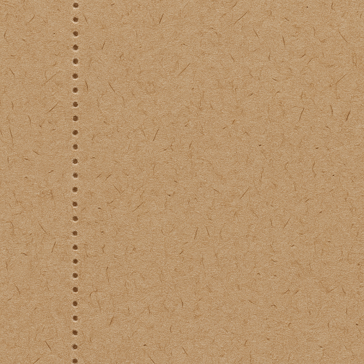 Of Cardboard Perforation With Visible Fiber Strands And Grainy Surface seamless PBR texture preview