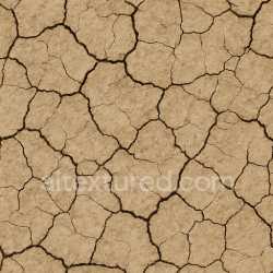 seamless Dry Fire Ground Texture texture 8k free download PBR
