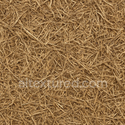 seamless Detailed Dried Grass Seamless Texture texture 1024x1024 free download PBR