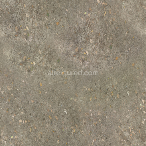 Ground Earth Natural Outdoor Terrain Texture Leafy Weathered Dirt Rough