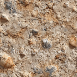 seamless Seamless 3D Fossilized Shell Sandstone PBR Texture with Natural Erosion and Earthy Tones texture 8k free download PBR