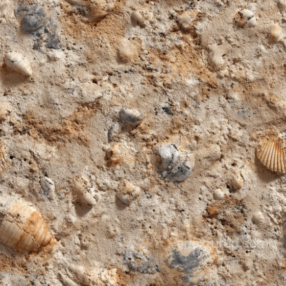 Fossilized Shell Sandstone PBR Texture with Natural Erosion and Earthy Tones Stone texture preview