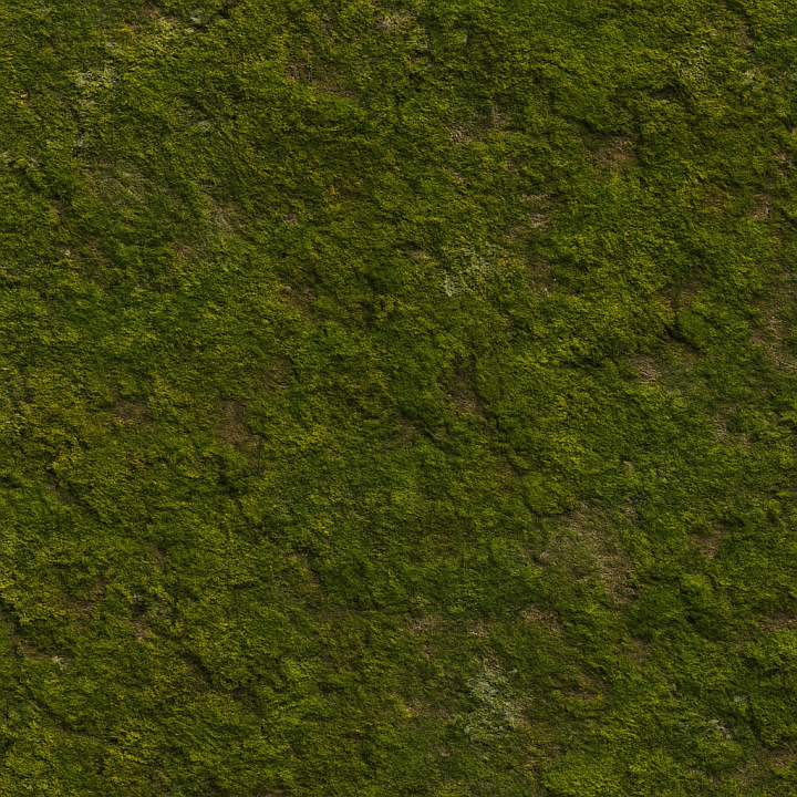 Aged Forest Moss seamless PBR texture preview