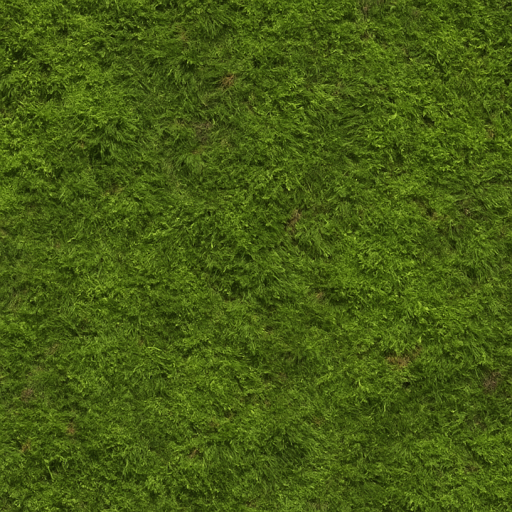 Natural Forest Moss seamless PBR texture preview