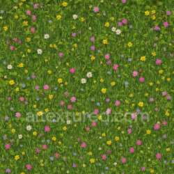 seamless Detailed Meadow Texture texture 8k free download PBR