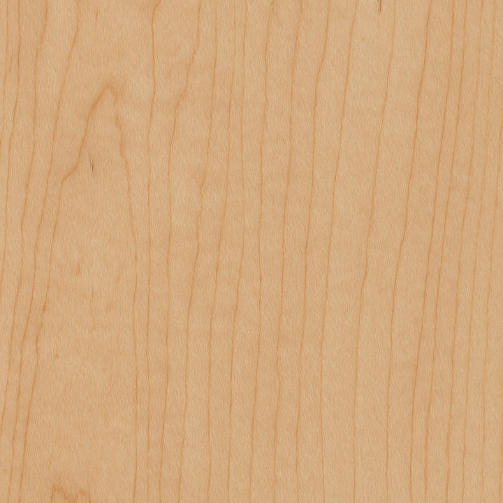 Maple Wood With Tight Grain And Matte Finish seamless PBR texture preview