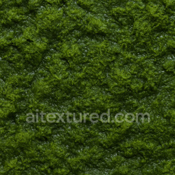 seamless Detailed Wet Moss Texture Seamless 1024X1024 texture 1024x1024 free download PBR