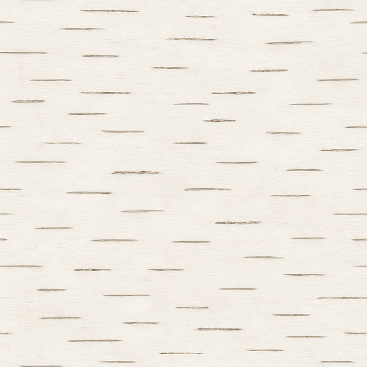 Clean Birch Bark seamless PBR texture preview