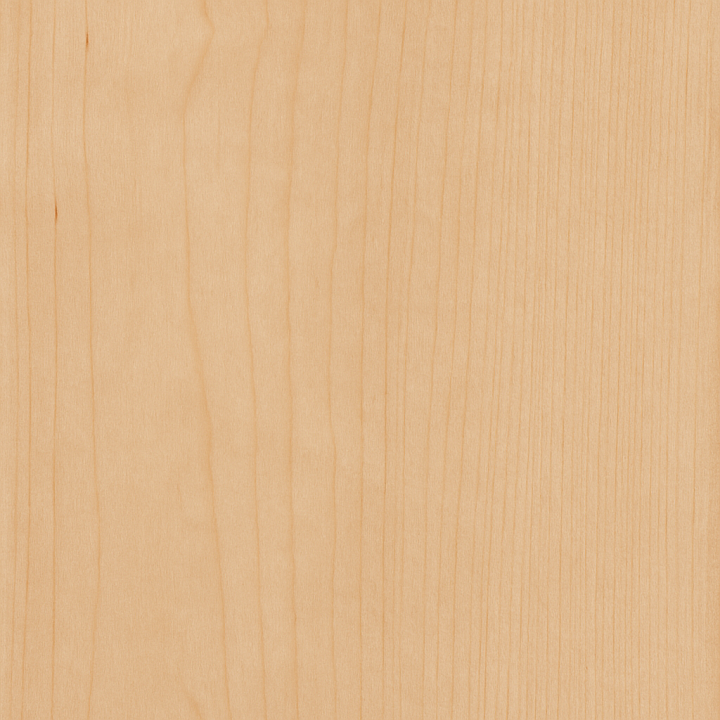 Birch Wood With Matte Finish And Smooth Grain For Furniture seamless PBR texture preview