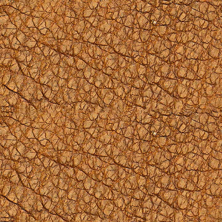 Leather Download seamless PBR texture preview