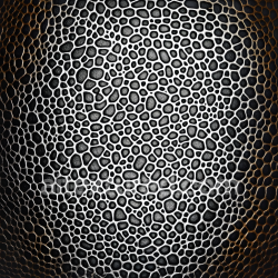 seamless Seamless 3D Reptilian Skin PBR Texture Featuring Coarse Organic Scale Patterns texture 8k free download PBR