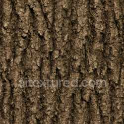 seamless Dirty Oak Bark Texture Seamless texture 8k free download PBR