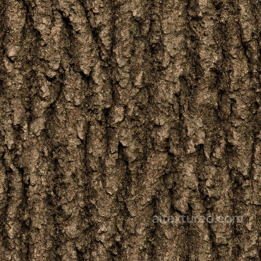 Dirty Oak Bark Seamless Texture seamless Bark PBR texture