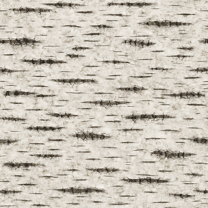 Patterned Birch Bark seamless PBR texture preview