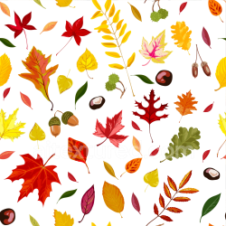 seamless Seamless 3D PBR Texture of Colorful Autumn Leaves and Nuts Pattern texture 8k free download PBR