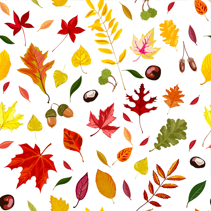 Colorful Autumn Leaves and Nuts Pattern seamless PBR texture preview