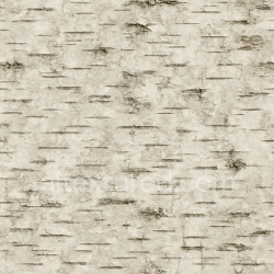 seamless Worn Birch Bark Texture Seamless 1024X1024 texture 1024x1024 free download PBR