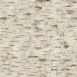seamless Worn Birch Bark Texture Seamless texture 8k free download PBR