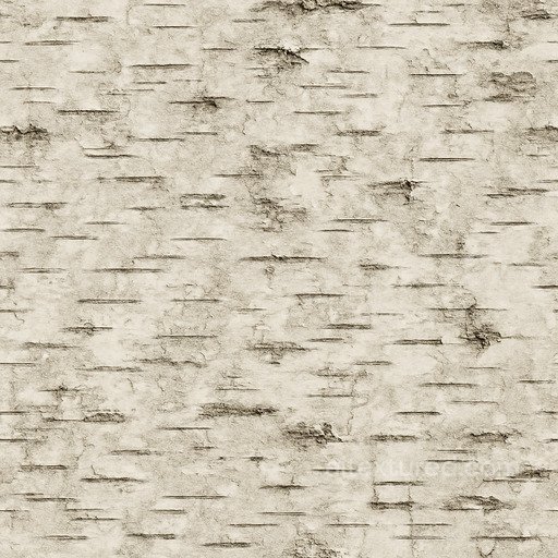 Worn Birch Bark Seamless Texture seamless Bark PBR texture