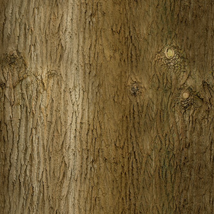Bark Tree - Bark Brown Bark Tree Forest Knots seamless PBR texture preview