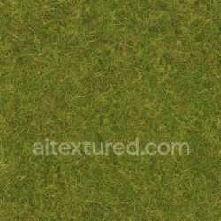 seamless Natural Field Texture texture 8k free download PBR