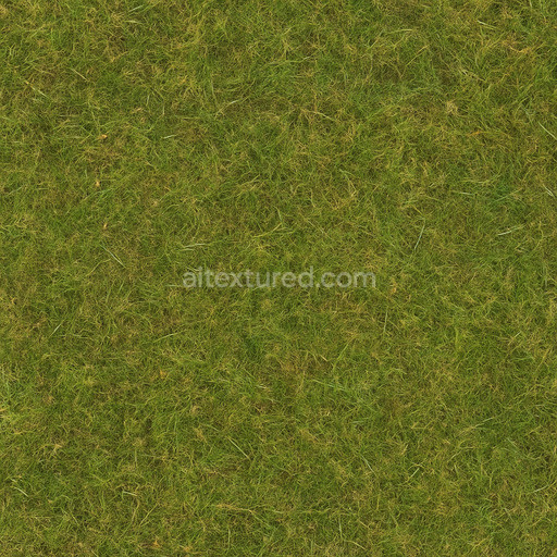 Natural Field Texture