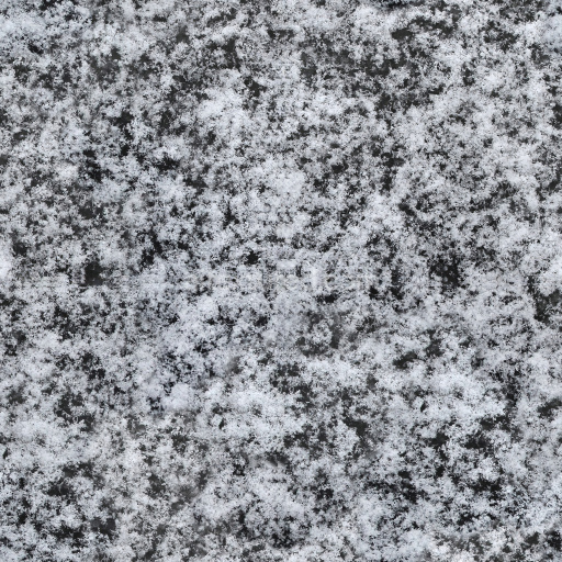 High-Quality Seamless Snow Texture