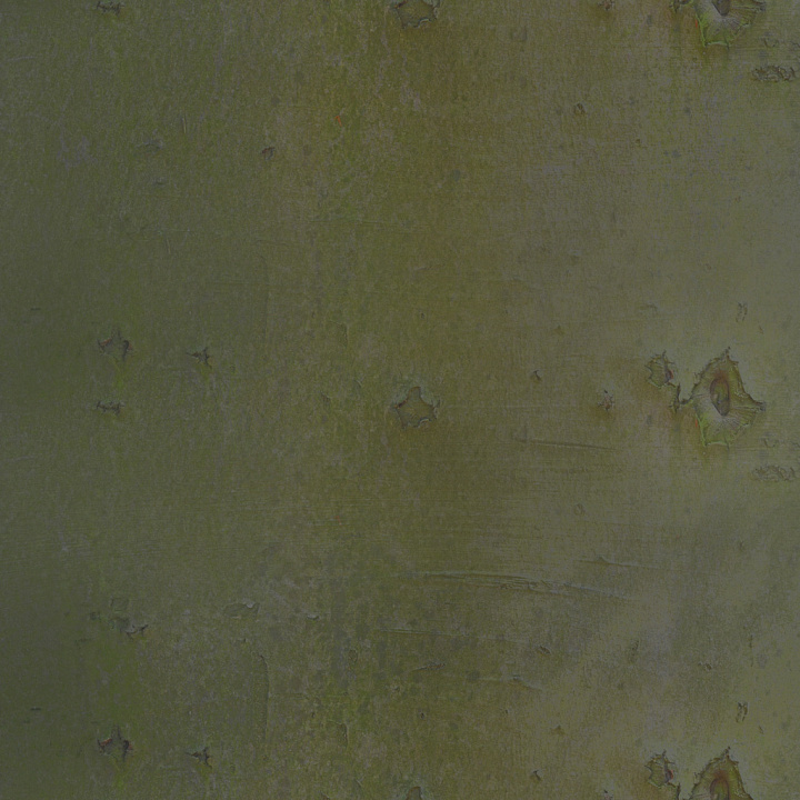 Bark 005 By Textures seamless PBR texture preview
