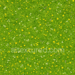 seamless Bright Meadow Texture texture 1024x1024 free download PBR