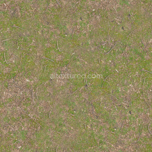 Seamless Forest Ground 01 by Texture Haven – PBR 3D Texture (8K ready)