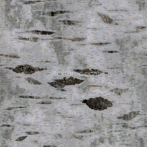 Birch Tree Bark Texture | Free PBR