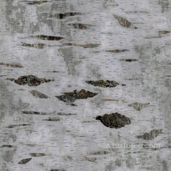 Birch Tree Bark Texture | Free PBR Foliage texture preview