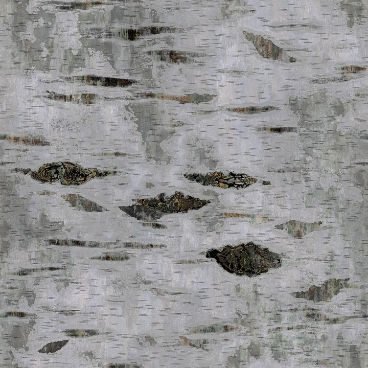 Birch Tree Bark seamless PBR texture preview