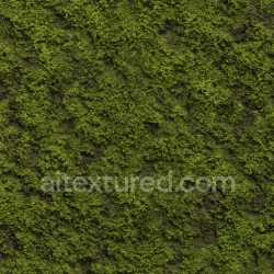 seamless Rough Forest Moss Texture Seamless texture 8k free download PBR