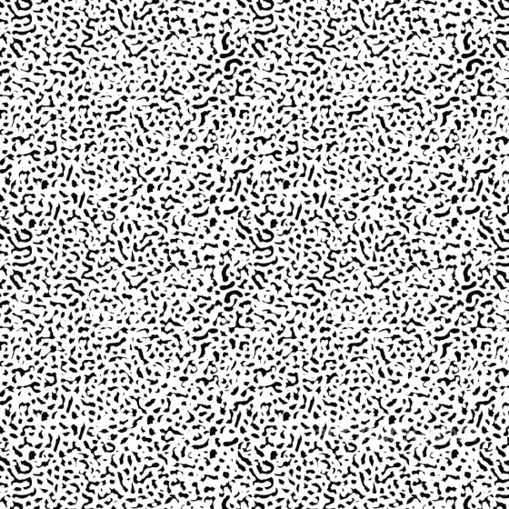 with White and Black Organic Abstract Pattern White & Black texture preview