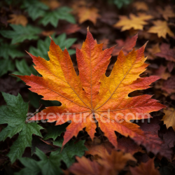 seamless Autumn Maple Leaf Ground Texture for PBR 3D Applications texture 8k free download PBR