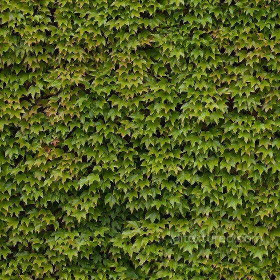 Seamless PBR Leaves Texture for All Projects Ground surface texture preview