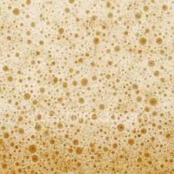 seamless Dirty Beer Foam Seamless Texture texture 8k free download PBR