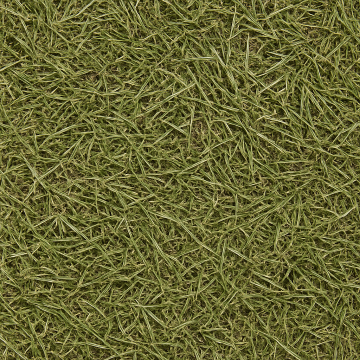Coarse Grass seamless PBR texture preview