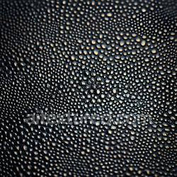seamless Seamless 3D Reptilian Skin PBR Texture with Raised Scale Detailing texture 8k free download PBR