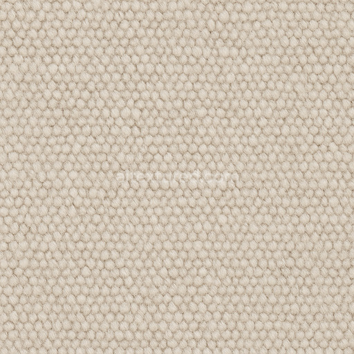 Clean Wool Carpet Texture Seamless