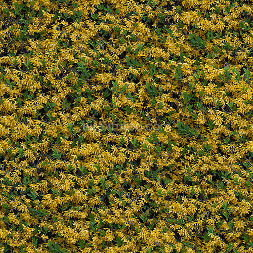 Seamless PBR Texture of Leaves