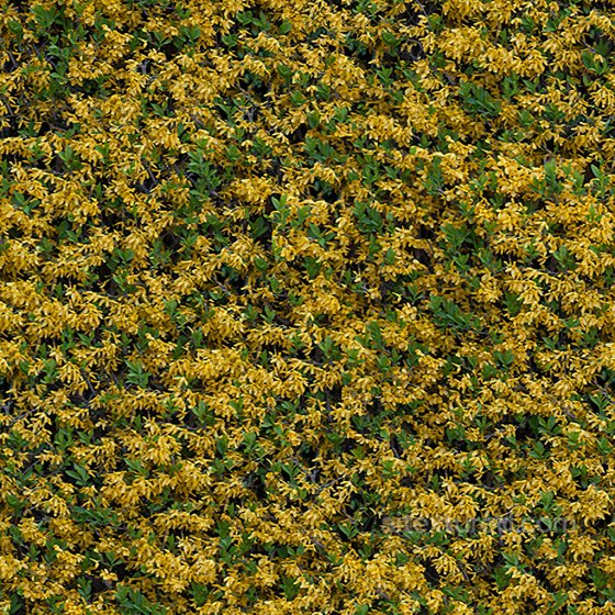 Seamless PBR Texture of Leaves Ground surface texture preview