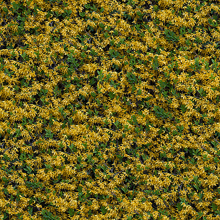 Of Leaves seamless PBR texture preview